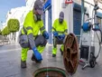 El plan de San Fernando para frenar las plagas: más vigilancia en calles, parques y alcantarillado