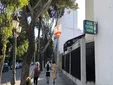 Malos tiempos para quienes sufren alergia en Cádiz: el polen se dispara y vuelve la calima