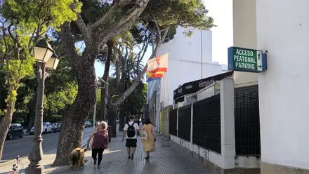 Varias personas caminan por una calle de Cádiz en una jornada de Levante, con las banderas ondeando y los árboles movidos por el viento mientras los niveles de polen se mantienen altos en la provincia.