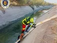 Una conductora herida en un accidente y dos perros rescatados de un canal: la intensa noche de los bomberos