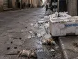 Denuncian una situación “insalubre” en una céntrica calle de Sanlúcar: ratas, malos olores y plagas