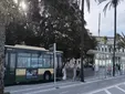 El PSOE reclama un refuerzo equilibrado de los autobuses en Cádiz: “No puede haber barrios de primera y de segunda”