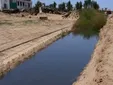 La preocupación vuelve a Bonanza, en Sanlúcar, tras detectarse otro vertido de aguas residuales