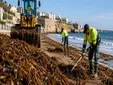 La Junta de Andalucía da un paso con el alga asiática mientras reclama más medidas al Gobierno