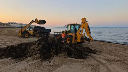 Dos excavadoras retirando kilos de alga invasora en Rota.