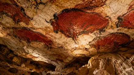 Bisontes en el techo de una cueva, son pinturas rupestres en tonos ocres y negros.