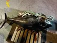 La Guardia Civil interviene 622 kilos de atún rojo sin documentación en un control de carretera en Barbate