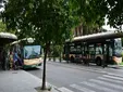 Cádiz refuerza autobuses y amplía los turnos del taxi para evitar nuevos problemas de movilidad