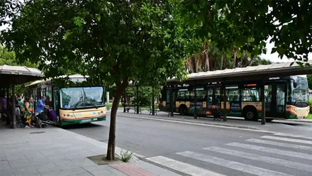 Parada de autobuses urbanos de la Plaza de España de Cádiz. Dos autobuses permanecen detenidos en los andenes mientras varios viajeros esperan para subir bajo las marquesinas. La escena está rodeada de árboles y zonas peatonales, con un paso de peatones en primer plano.
