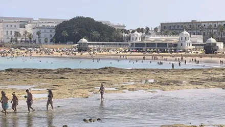 Vista de Balneario de la Palma en la bajamar del mediodía de este 16 de julio de 2026. Foto: José Luis Porquicho Prada.