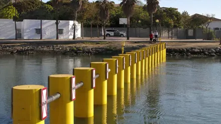 Pivotes amarillos formando una red de barreras en el Guadalquivir contra el narcotráfico.