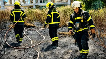 Zona de pastos quemada y varios bomberos sofocando el fuego.