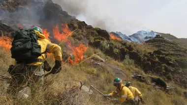 Bomberos forestales durante las labores de extinción de un incendio. Foto: Junta de Andalucía.