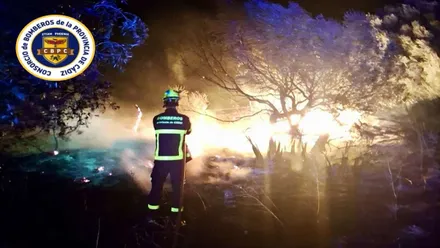 Llamas en una zona de matorral y un bombero controlando el incendio.