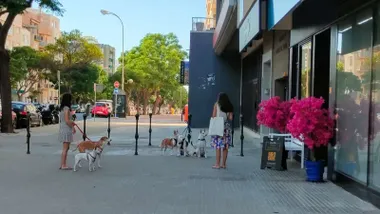 Imagen de la Avenida principal de Cádiz en estos días plenamente veraniegos. Foto: José Luis Porquicho Prada.