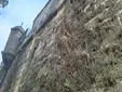 Piden un plan urgente para acabar con la imagen de abandono en las calles de Cádiz