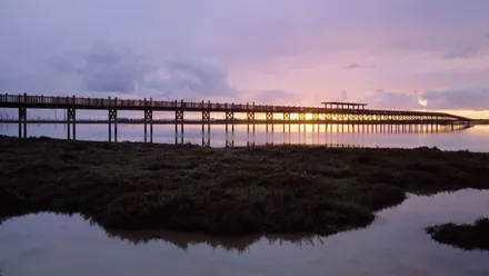 Puesta de sol en uno de los esteros de El Puerto, destaca el cielo en tonos malvas.