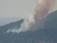 Virulento incendio en Barbate, el segundo en dos días en la provincia de Cádiz: desalojos preventivos y la A-314 cortada