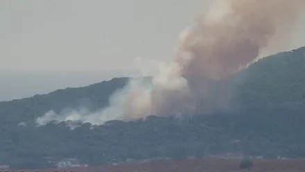 Gran columna de humo elevándose sobre una zona forestal de Barbate tras declararse un incendio en el paraje de Los Visos. En primer plano se aprecia vegetación y al fondo el humo cubriendo parte de la ladera.