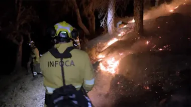 Efectivos del Plan Infoca trabajan en una zona forestal afectada por el incendio de Grazalema tras quedar estabilizado el fuego. Foto: Infoca.