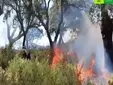 La Guardia Civil investiga a un empleado de un alojamiento rural por el incendio forestal de Grazalema