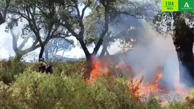 La Guardia Civil investiga a un empleado de un alojamiento rural por el incendio forestal de Grazalema