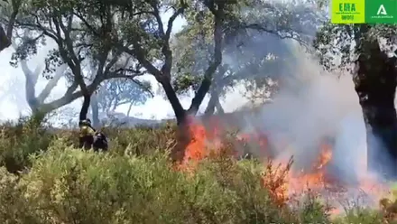 La Guardia Civil investiga a un empleado de un alojamiento rural por el incendio forestal de Grazalema