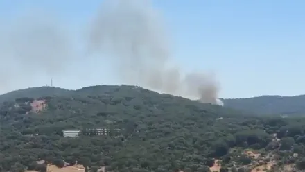 Vista panorámica de una zona de monte en Grazalema con una densa columna de humo gris que se eleva desde detrás de una ladera cubierta de vegetación. En primer plano se distinguen varios edificios entre los árboles y el cielo aparece completamente despejado.