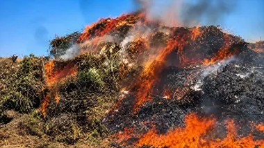 Montón de ramas y residuos ardiendo en el vertedero de Chiclana.