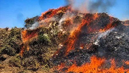 Montón de ramas y residuos ardiendo en el vertedero de Chiclana.