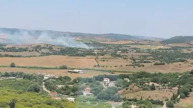 Campo con columna de humo del incendio.