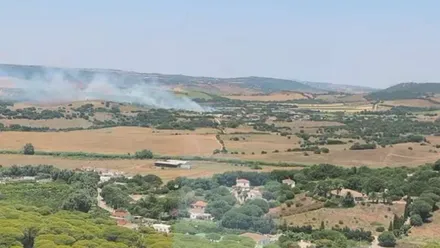Campo con columna de humo del incendio.