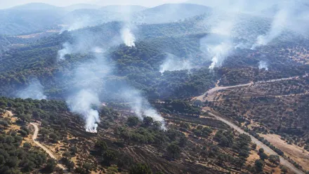 Distintos focos de humo e incendio en la sierra de Grazalema.