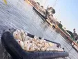 Golpe a la narcologística en Sanlúcar: decomisados más de 2.300 litros de gasolina