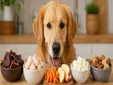 La OCU lo deja claro: estas son las mejores golosinas para perros y las que deberías evitar