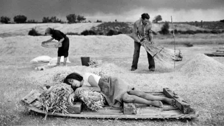 Fotografía en blanco y negro de una escena rural durante la recogida del cereal. En primer plano, una mujer descansa tumbada sobre haces de paja, mientras al fondo otras dos personas continúan trabajando en el campo bajo un cielo cubierto.