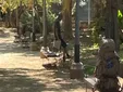 La Apdha alerta de una "emergencia humanitaria" por la situación de las personas sin hogar durante la ola de calor en Cádiz