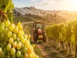 El sector vitivinícola de Cádiz da luz verde al nuevo convenio tras el respaldo unánime de las plantillas