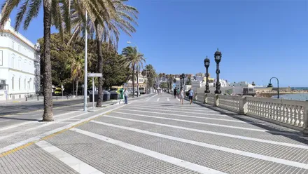 La escasez de zonas de sombra en amplias zonas de Cádiz vuelve a abrir el debate sobre la creación de refugios climáticos frente al calor. Foto: José Luis Porquicho Prada.