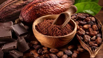 Cuenco con cacao y una planta del mismo.