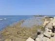 Así estarán las playas de Cádiz el primer fin de semana de julio