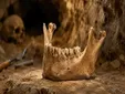 El hallazgo de Girona que cambia lo que se sabía sobre los primeros Homo sapiens en Europa