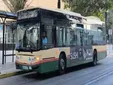 La recogida por la línea 2 de Cádiz alcanza las 2.000 firmas: ya hay fecha para la reunión con el alcalde