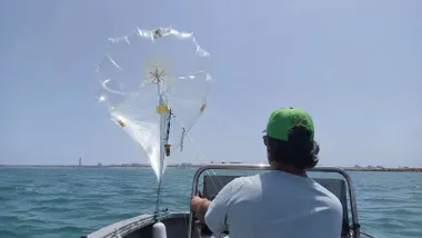 Embarcación midiendo la fuerza de la brisa en las costas de Cádiz.