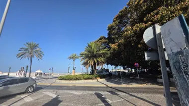 Cielo despejado sobre el árbol del Mora de Cádiz, con La Caleta al fondo. Foto: José Luis Porquicho Prada.