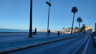 Vista del paseo marítimo de Cádiz en una mañana despejada, con varias personas caminando junto al mar, palmeras y poco tránsito.