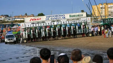 Salida y caballos corriendo por la playa de Bajo Guía en Sanlúcar.