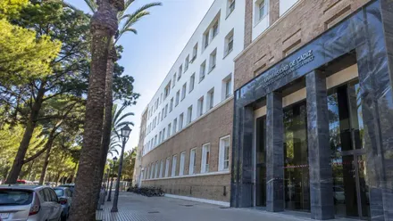 Calle, con palmeras, del Colegio Mayor Universitario de Cádiz, destaca su entrada en mármol negro.
