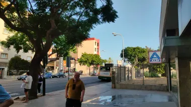 Imagen de la avenida principal de Cádiz durante una mañana soleada y con el cielo completamente despejado. Varias personas caminan por la acera bajo la sombra de los árboles mientras circula un autobús urbano por la calzada.
