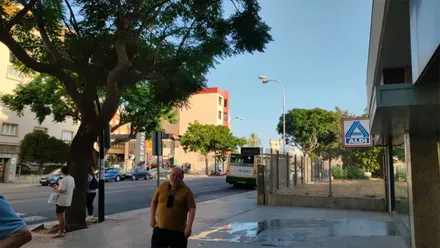 Imagen de la avenida principal de Cádiz durante una mañana soleada y con el cielo completamente despejado. Varias personas caminan por la acera bajo la sombra de los árboles mientras circula un autobús urbano por la calzada.